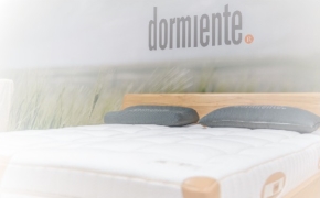 Dormiente